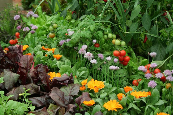 Plan Your Garden workshop with Kelli Yeager